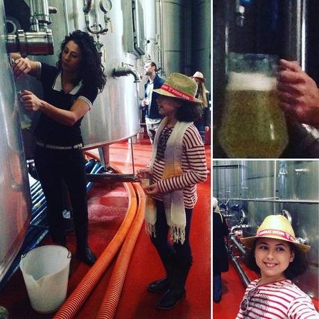 Cata de Vinos, Turisteo, Enoturismo, Bodegas, Bocopa, Bodegas Bocopa, Petrer, Santurario, Novelda, Santuario de Novelda, Salida en Familia, Vinos de Alicante, blog solo yo, solo yo, blogger alicante,