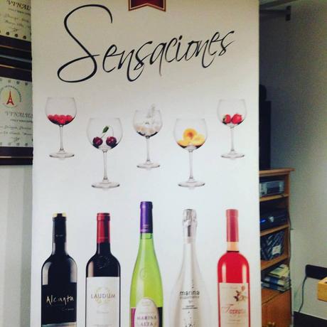 Cata de Vinos, Turisteo, Enoturismo, Bodegas, Bocopa, Bodegas Bocopa, Petrer, Santurario, Novelda, Santuario de Novelda, Salida en Familia, Vinos de Alicante, blog solo yo, solo yo, blogger alicante,