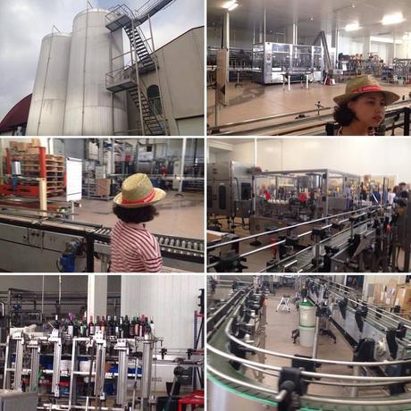 Cata de Vinos, Turisteo, Enoturismo, Bodegas, Bocopa, Bodegas Bocopa, Petrer, Santurario, Novelda, Santuario de Novelda, Salida en Familia, Vinos de Alicante, blog solo yo, solo yo, blogger alicante,