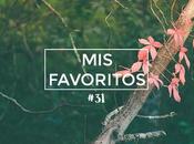 Favoritos