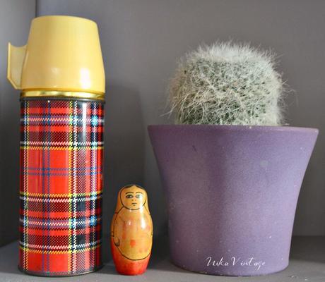 8 CACTUS PRECIOSOS QUE DEBES TENER EN CASA 8 CACTUS PRECIOSOS QUE DEBES TENER EN CASA