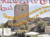 fortaleza libros (Lorca)
