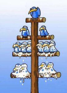 delegacion-tareas-empresas