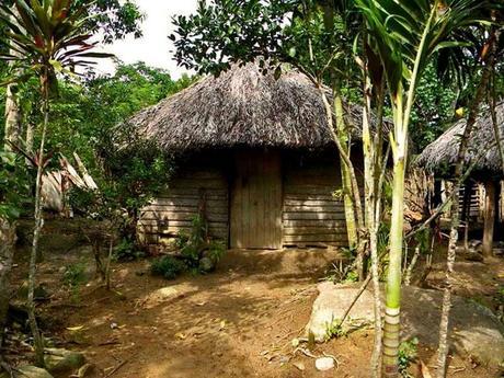 cc1f335ecaeb4579f01cb0abaef3bfe0