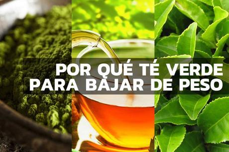 te verde para perder peso