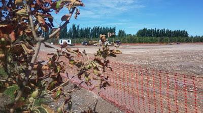 Fuga de un pozo afectó a frutales
