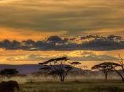 Interpretaciones soñar safaris: ¿Soy persona aventurera?