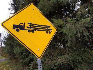 POR LOS ALREDEDORES DE CUMBERLAND