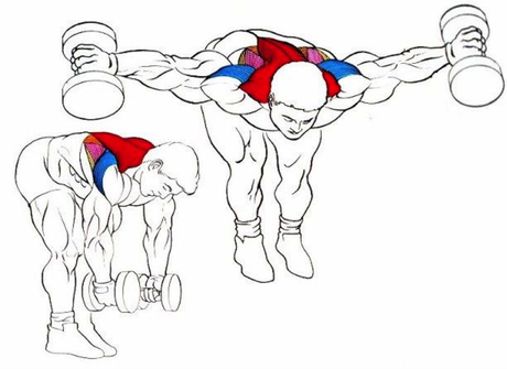 ¡Entrena los hombros correctamente!