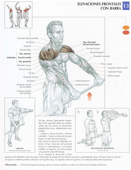 ¡Entrena los hombros correctamente!