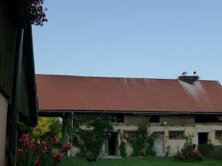 Día 9: Parque Natural de Plitvice - Karlovac - Iglesias de madera - Cigoc