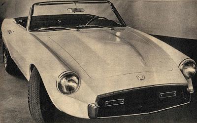 Nic, un spider argentino