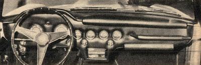 Nic, un spider argentino