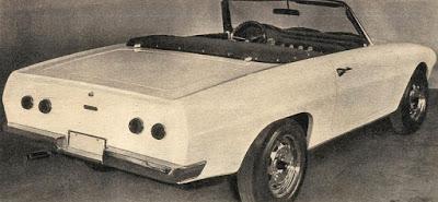 Nic, un spider argentino