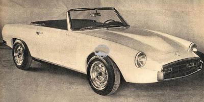 Nic, un spider argentino