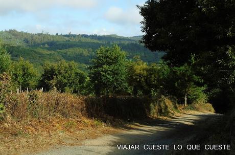 camino de santiago