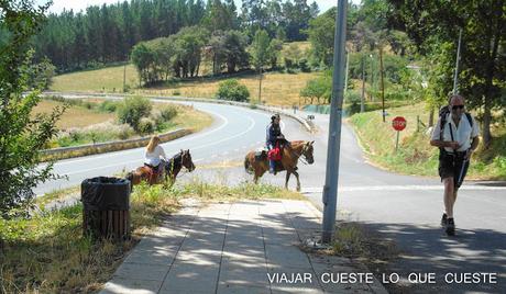 MELIDE A ARZÚA EL CAMINO DE SANTIAGO (DÍA QUINTO)