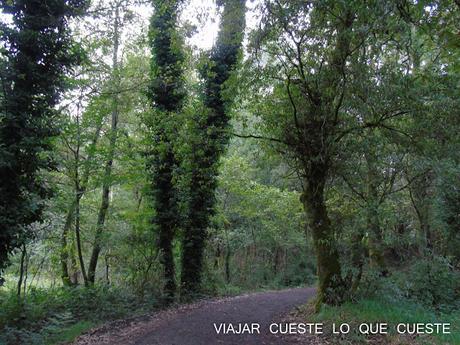 camino de santiago