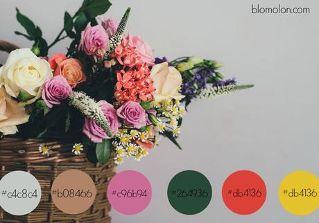 Especial Mes de Octubre