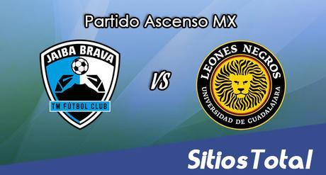 Tampico Madero vs Leones Negros en Vivo – Online, Por TV, Radio en Linea, MxM – AP 2016 – Ascenso MX