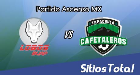 Lobos BUAP vs Cafetaleros de Tapachula en Vivo – Online, Por TV, Radio en Linea, MxM – AP 2016 – Ascenso MX