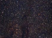 ✨Campo amplio nebulosa capullo