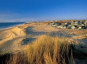 Niño encuentra persona viva enterrada arena