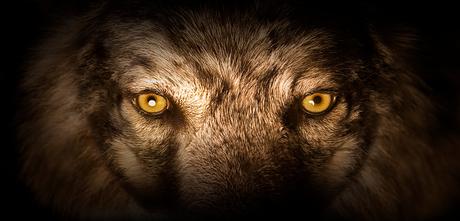 HALLOBLOGWEEN 2016........................RELATO