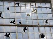 Pájaros aparecen espacio negativo paneles ventanas rotos