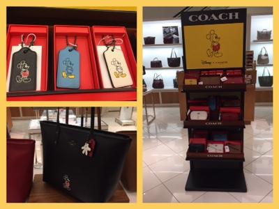 Coach x Disney