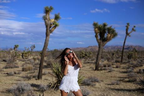 LA diary: Joshua Tree IMG_9430