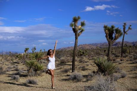 LA diary: Joshua Tree IMG_9393