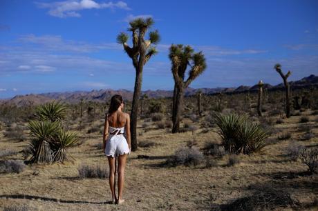 LA diary: Joshua Tree IMG_9385