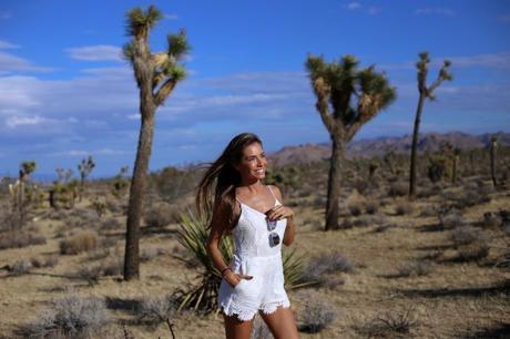 LA diary: Joshua Tree IMG_9467