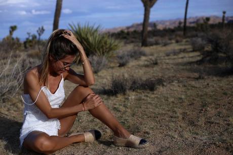 LA diary: Joshua Tree IMG_9579