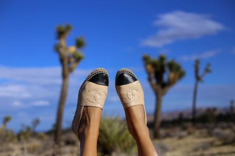 LA diary: Joshua Tree IMG_9567