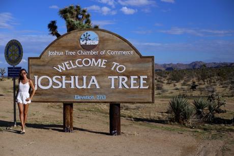 LA diary: Joshua Tree IMG_9354