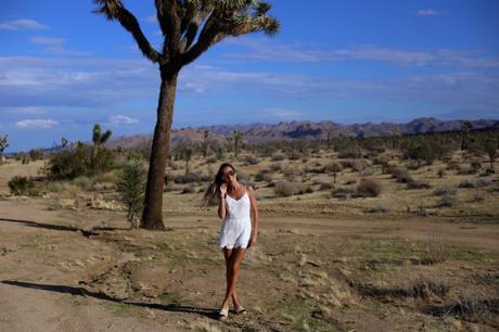 LA diary: Joshua Tree IMG_9383