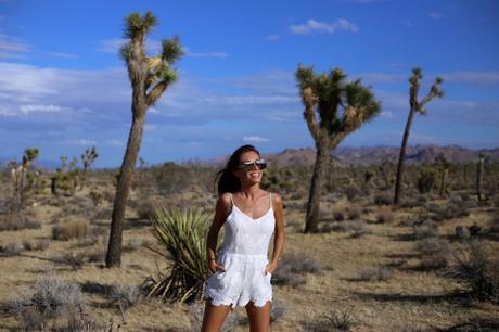 LA diary: Joshua Tree IMG_9427
