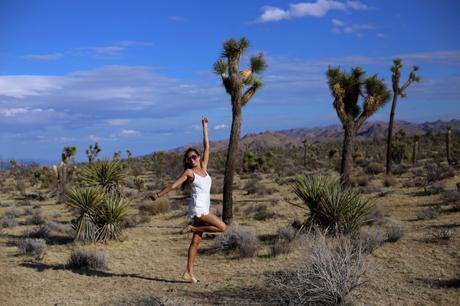 LA diary: Joshua Tree IMG_9402