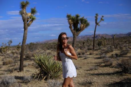 LA diary: Joshua Tree IMG_9455