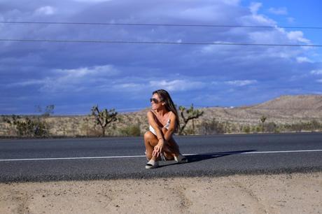 LA diary: Joshua Tree IMG_9336