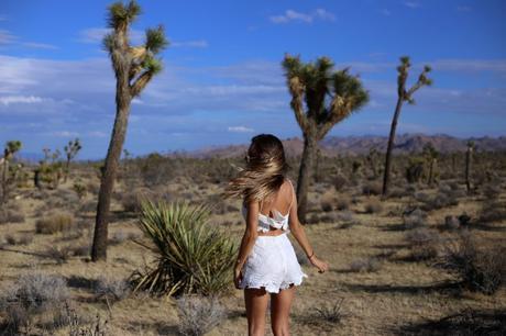 LA diary: Joshua Tree IMG_9436