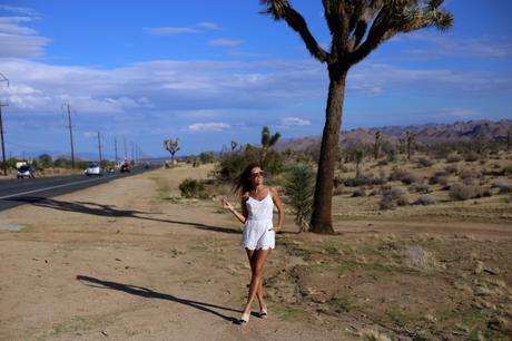 LA diary: Joshua Tree IMG_9375