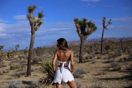 LA diary: Joshua Tree IMG_9460