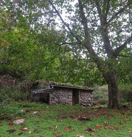 LLOSA VIANGO DESDE LA TORNERÍA (TRAVESÍA)