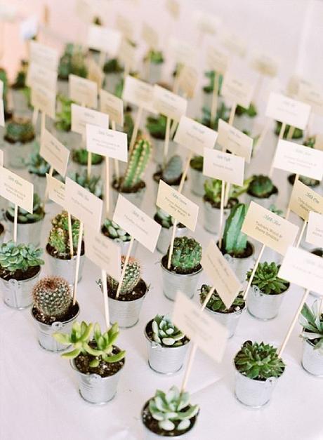 Ideas de boda: una decoración diferente con cactus