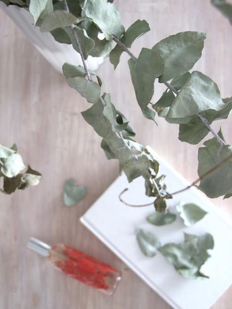 El eucalipto ha invadido nuestras casas