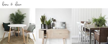  photo hausanddeco.jpg