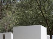 Pabellones Museo MARCO